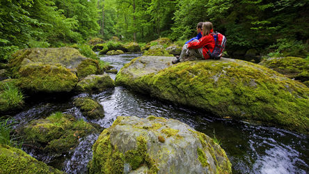 Unberührte Natur entdecken - im Vogtland vielerorts möglich 
© Tourismusverband Vogtland e.V. - C. Beer