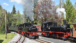 Züge im Bahnhof Schlössel bei Jöhstadt 
© Thomas Poth