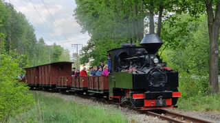 Dampfzug der WEM 
© Waldeisenbahn Muskau