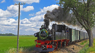 Dampfzug auf der Döllnitzbahn. 
© Pressebild Döllnitzbahn GmbH