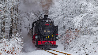 Dampfzug der Zittauer Schmalspurbahn. 
© Copyright: communications art - mario england