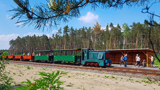 Waldeisenbahn Muskau 
© Pressebild Waldeisenbahn Muskau GmbH