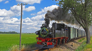Dampfzug auf der Döllnitzbahn. 
© Döllnitzbahn GmbH