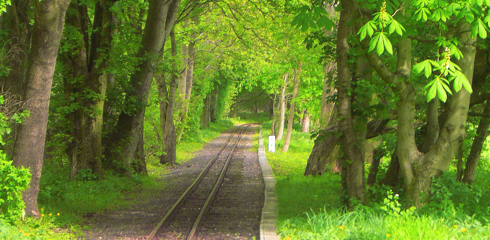 Bahnstrecke Parkeisenbahn Auensee. 
© Pressebild Parkeisenbahn Auensee  e.V.