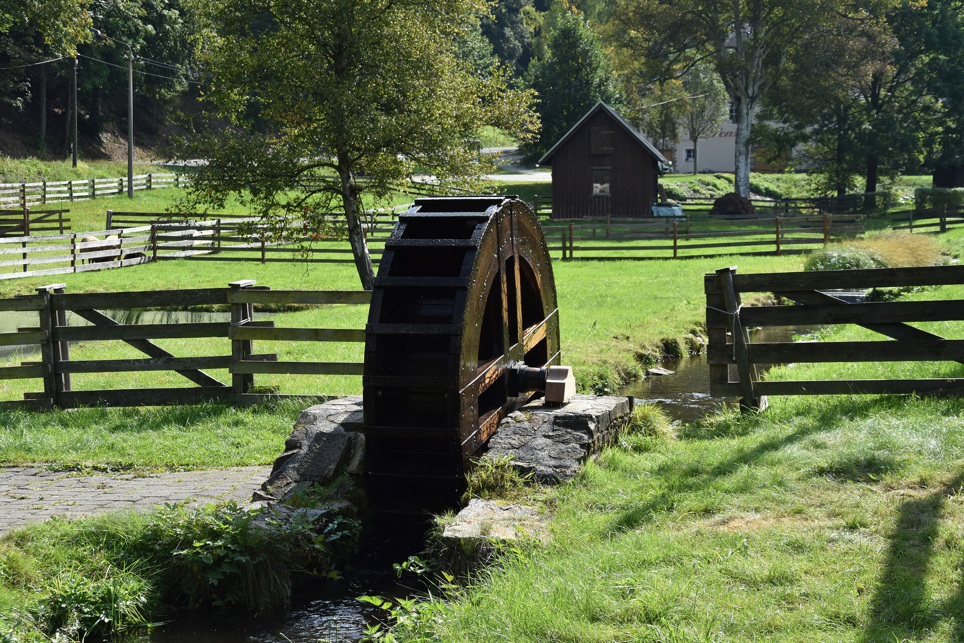 Wasserrad vor Forellenhof 
&copy; Thomas Poth