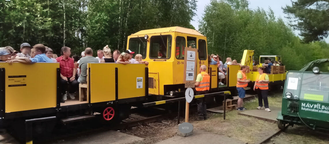 Motordraisine der Frelsbachtalbahn 
&copy; IG Muldental BahnTourismus e.V.