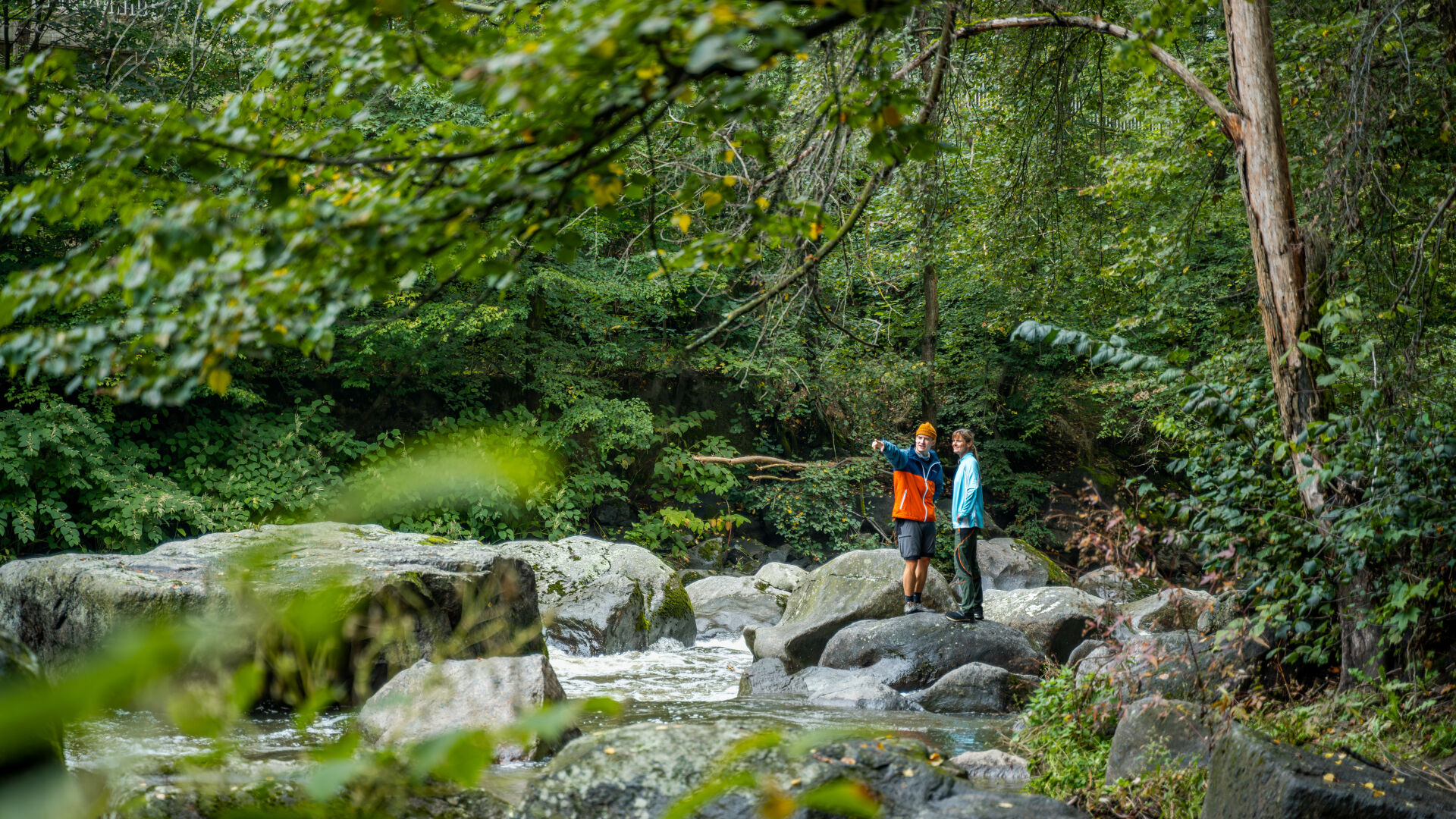 Naturentdeckungen im Chemnitztal 
© Oliver Goehler