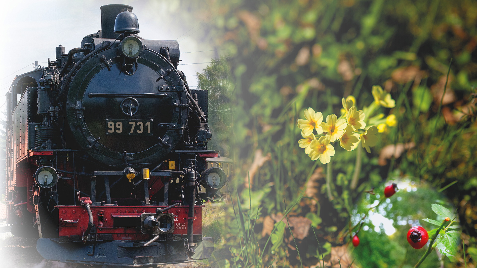 Kräutertour in den Frühling