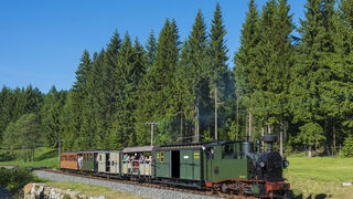 IK-Zug bei Preßnitztalbahn 
© CHRISTIAN SACHER