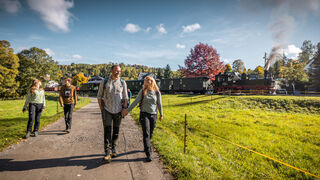 &copy;