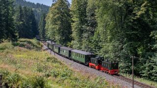 Zug der Pre&szlig;nitztalbahn mit Diesellokomotiven 
&copy; Richard Geertz