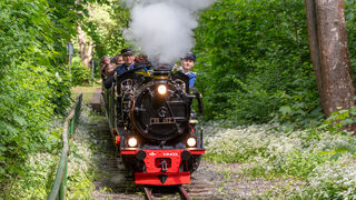 Dampfzug unterwegs! 
© Parkbahn Auenseee