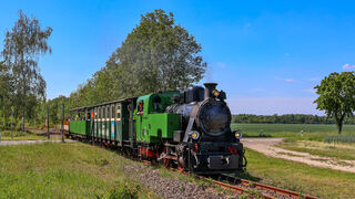 Dampfzug der Kohlebahn Meuselwitz 
&copy; Tom Kl&ouml;tzer