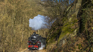 Zug der SDG Wei&szlig;eritztalbahn vorr Rabenau 
&copy; Michael Sperl