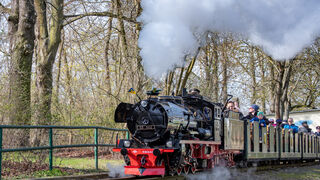 Dampfzug der Parkeisenbahn 
&copy; Parkeisenbahn Auensee e.V.Steven Gebauer