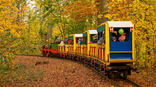 Parkeisenbahn G&ouml;rlitz im Herbst 
&copy; Martin Hanisch