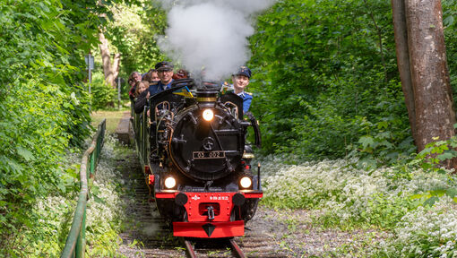 Dampfzug unterwegs! 
&copy; Parkbahn Auenseee